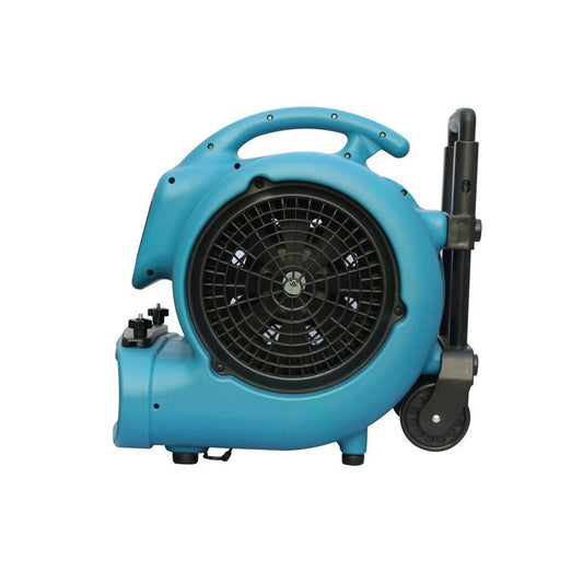 VENTILADOR DE ALFOMBRAS XPOWER X-800HC (MANGO)